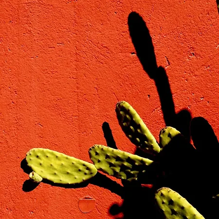 Kalatfimi Bed and breakfast 3*