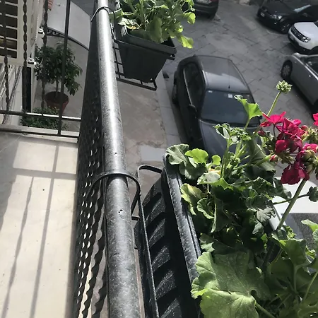 Kalatfimi Bed and breakfast 3*